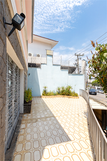 Foto REO1132922