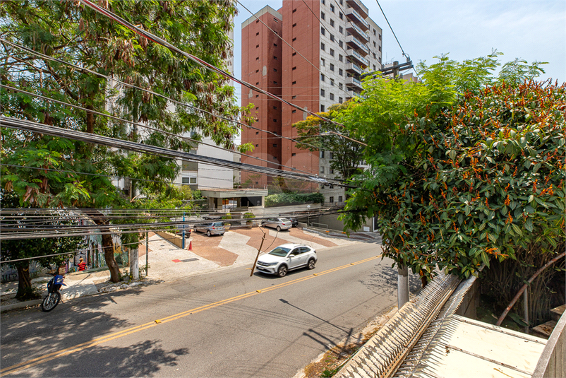 Foto REO1132922