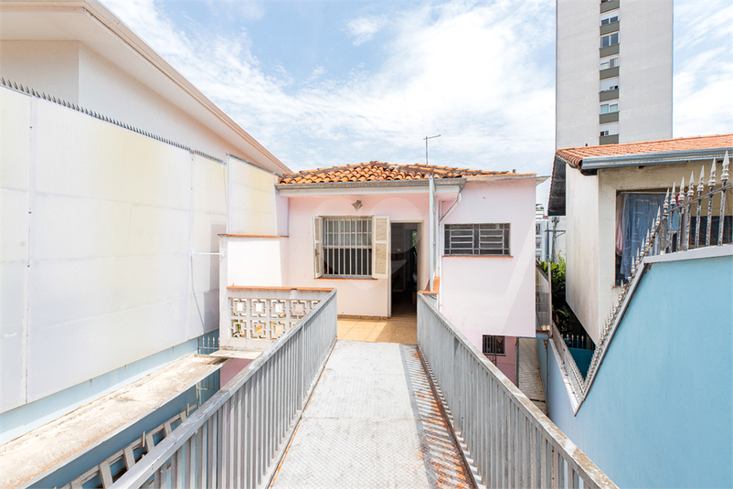 Foto REO1132922