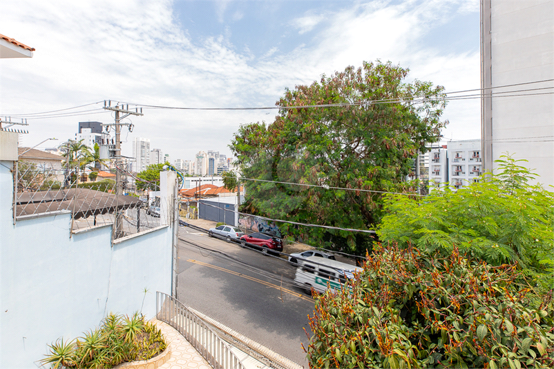 Foto REO1132922