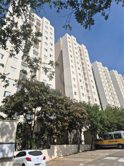 Foto REO1132934