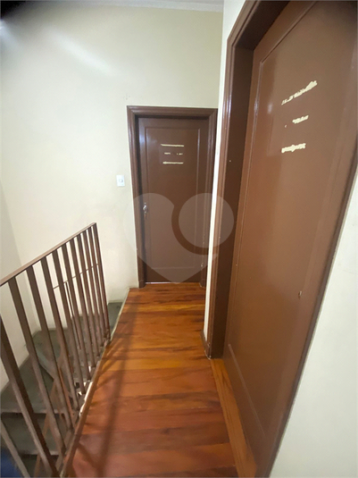 Foto REO1132940