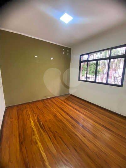 Foto REO1132940