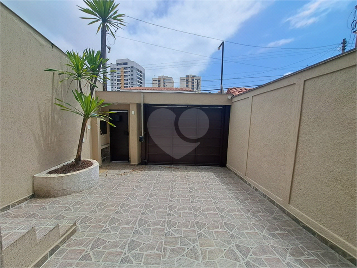 Foto REO1132950