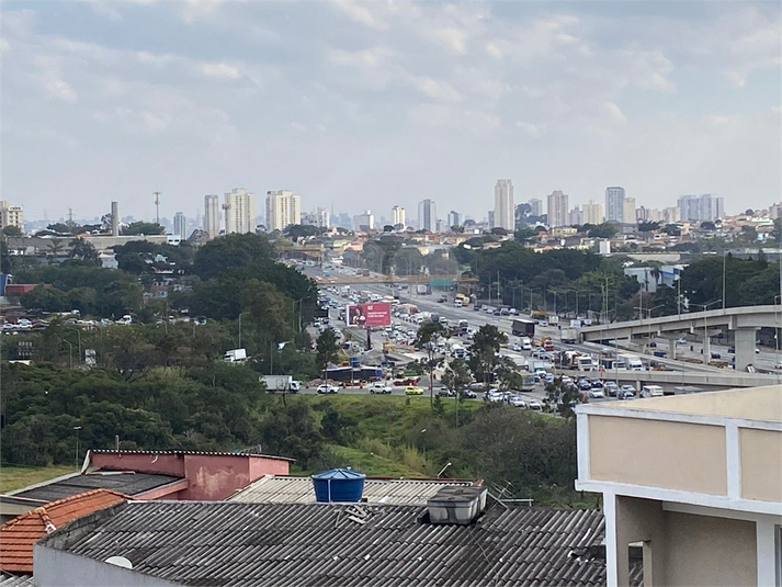 Foto REO1132953