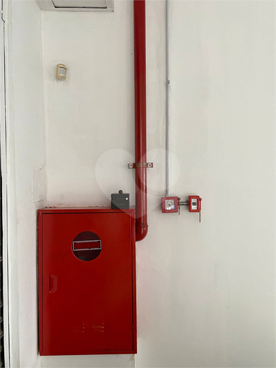 Foto REO1132953