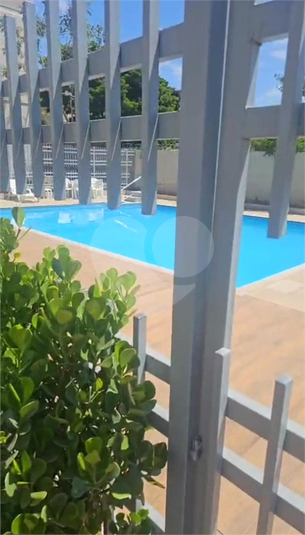 Foto REO1132957