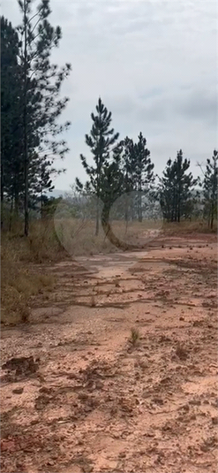 Foto REO1132963