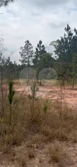Foto REO1132963