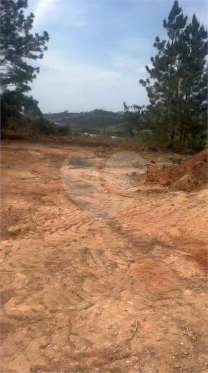 Foto REO1132963