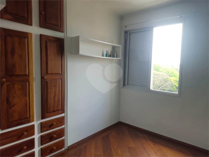 Foto REO1132964