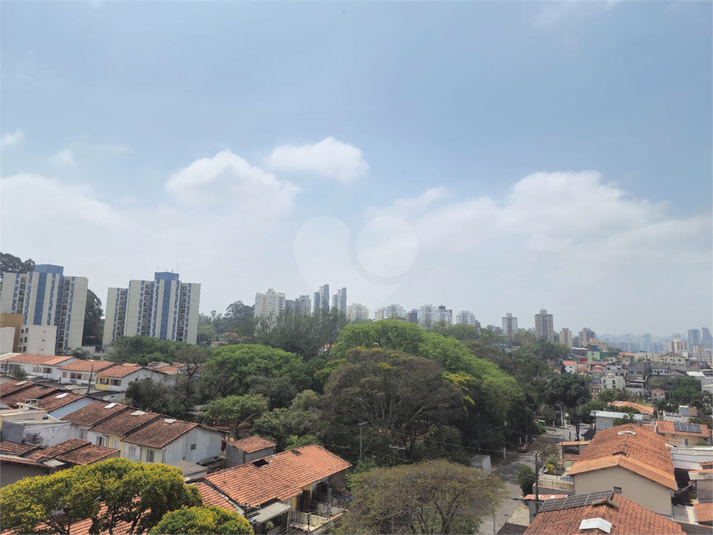 Foto REO1132964