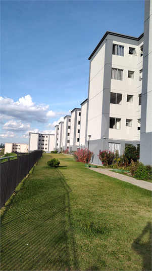 Foto REO1132976