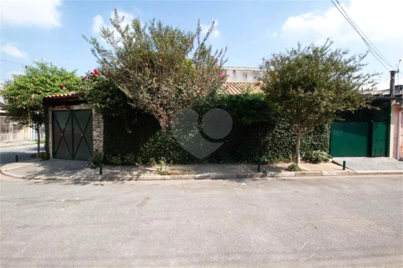 Foto REO1132983