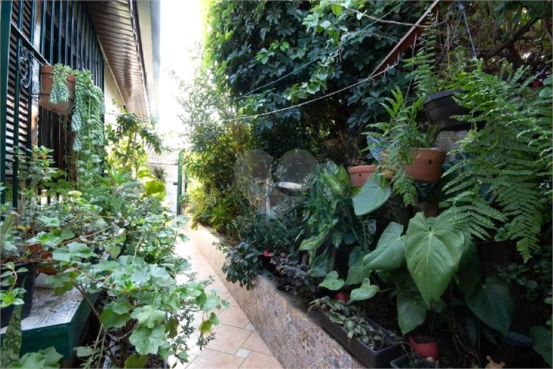 Foto REO1132983
