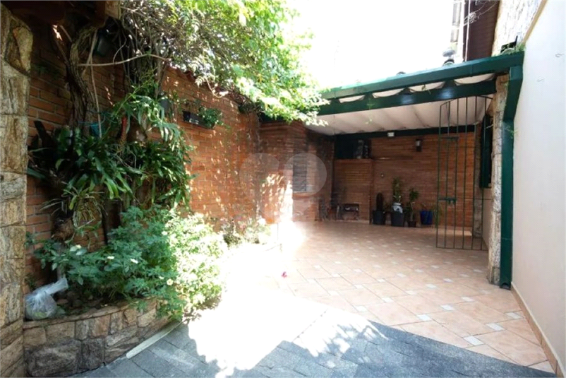 Foto REO1132983