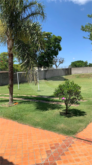 Foto REO1132986