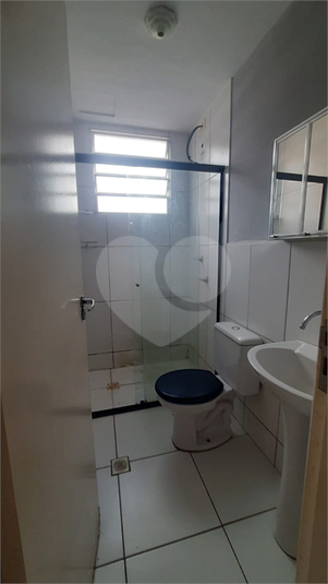 Foto REO1132990