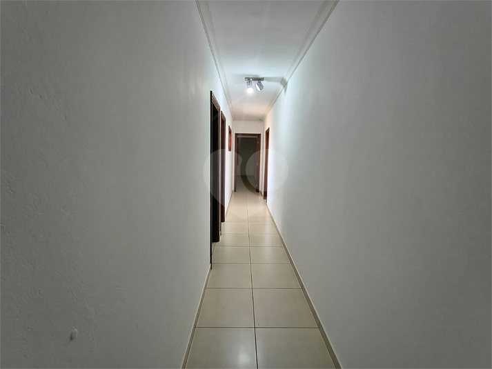 Foto REO1132993
