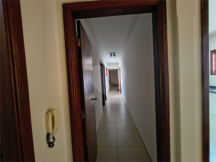 Foto REO1132993