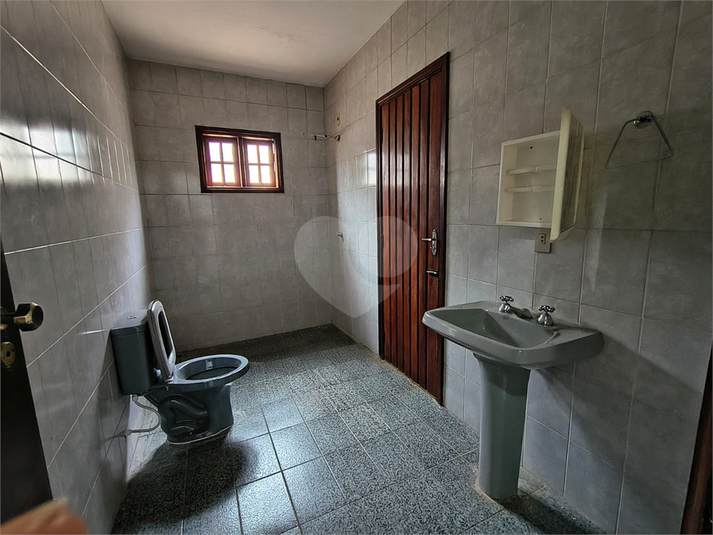 Foto REO1132993