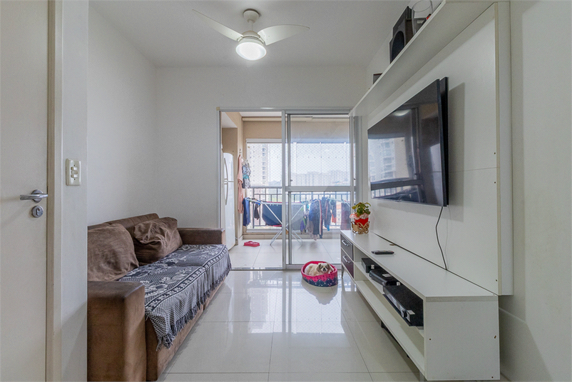 Foto REO1133012