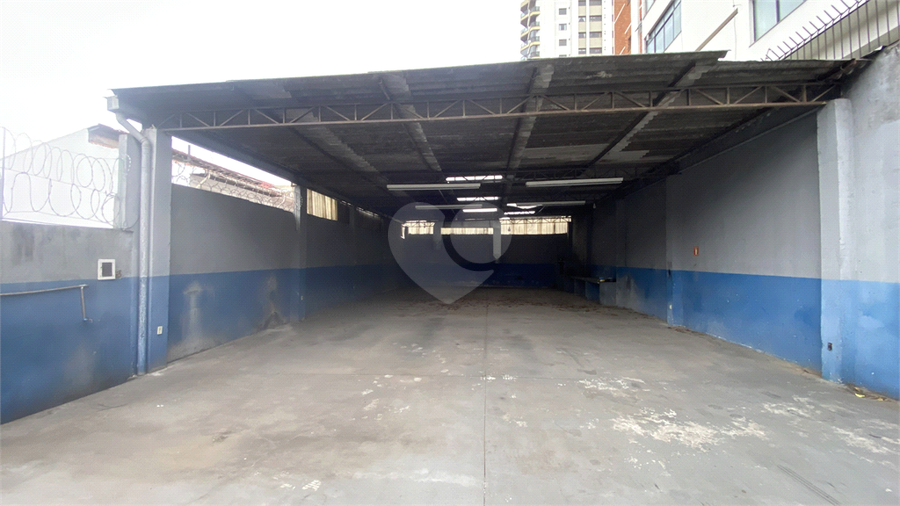 Foto REO1133021
