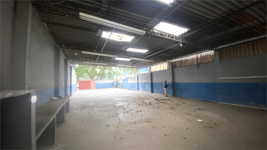 Foto REO1133021