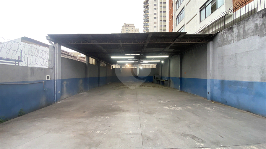 Foto REO1133021