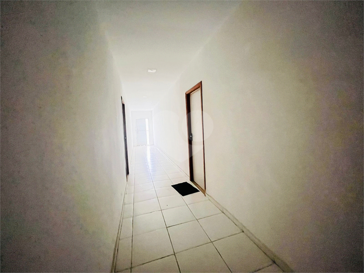 Foto REO1133026