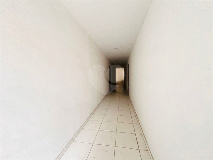 Foto REO1133026