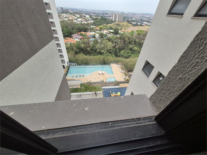 Foto REO1133037