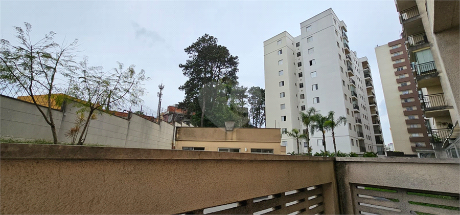 Foto REO1133038