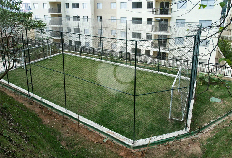 Foto REO1133038