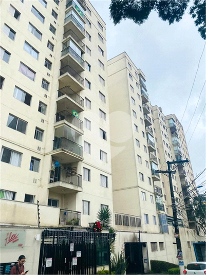 Foto REO1133038