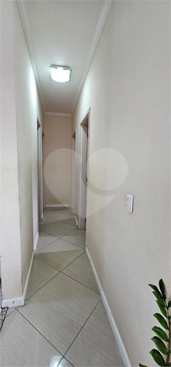 Foto REO1133038