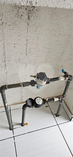 Foto REO1133038