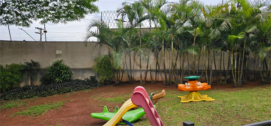 Foto REO1133038