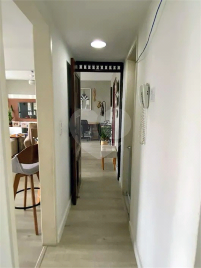 Foto REO1133039