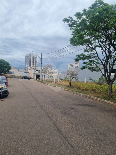 Foto REO1133041