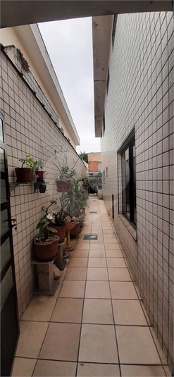 Foto REO1133064