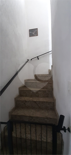 Foto REO1133064