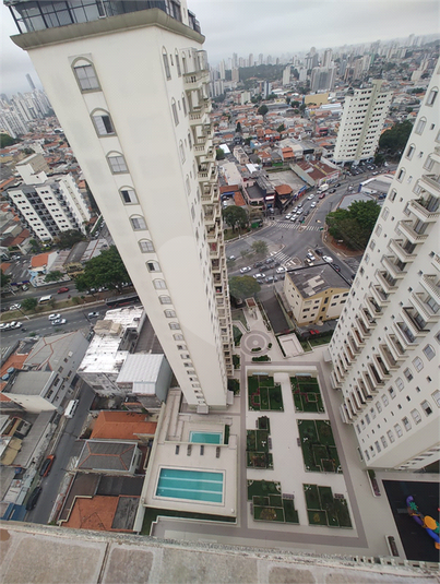 Foto REO1133071