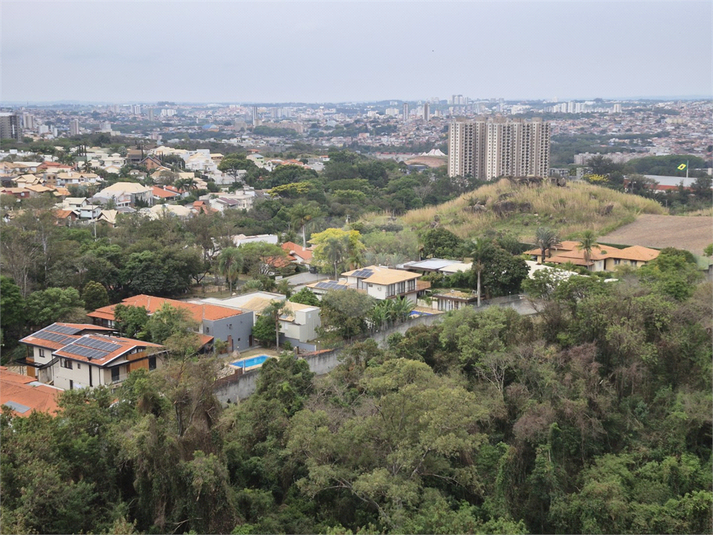 Foto REO1133075