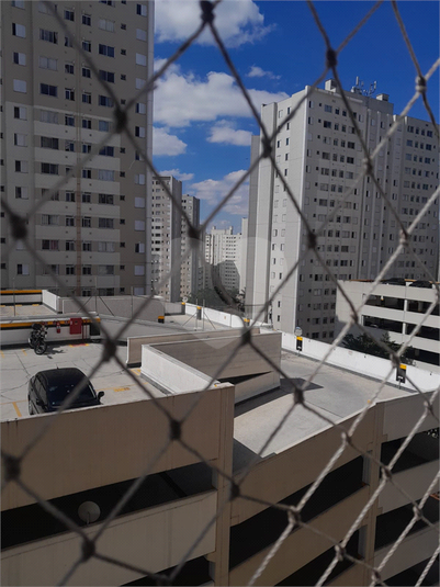 Foto REO1133079