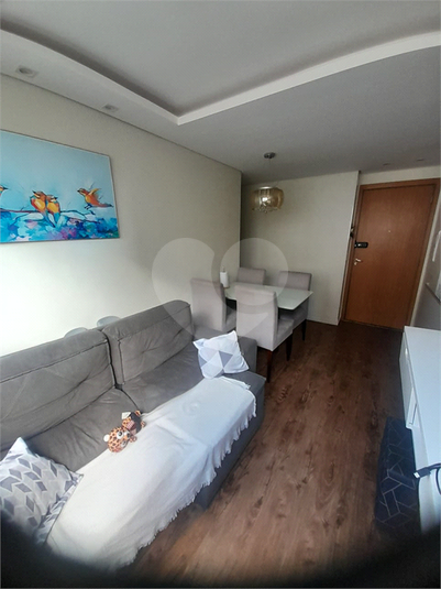 Foto REO1133079