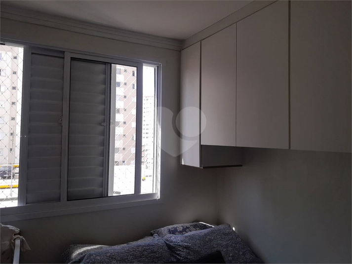 Foto REO1133079