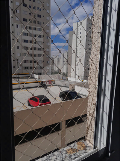 Foto REO1133079