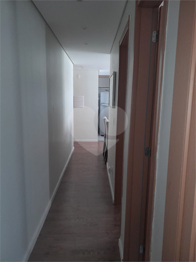 Foto REO1133079