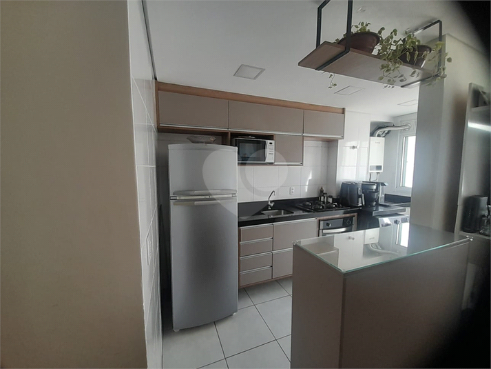 Foto REO1133079